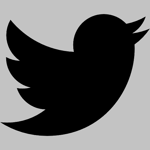 icon of twitter